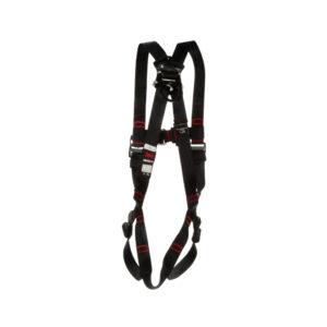 Harness (2 Point, Pass through buckle)